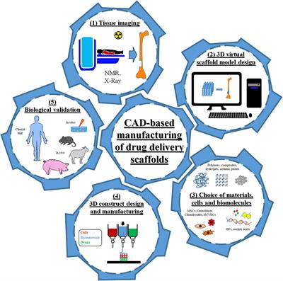 Review on Computer-Aided Design and Manufacturing of Drug Delivery Scaffolds for Cell Guidance and Tissue Regeneration